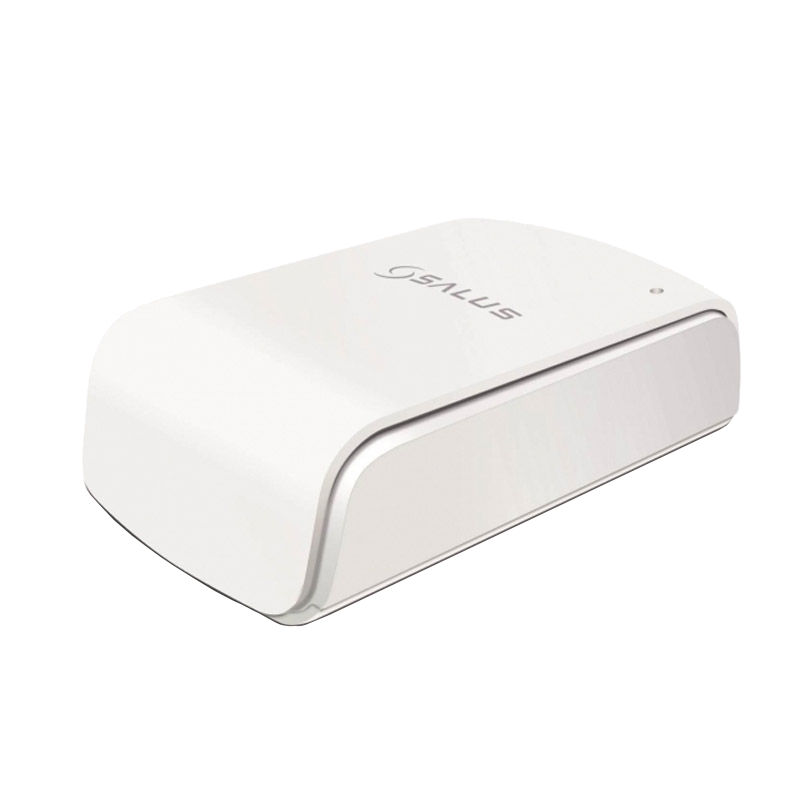 Sensor (variant)